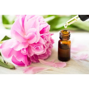 The Power of Peppermint